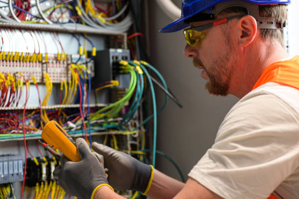 Best Electric Panel Repair  in Goulding, FL